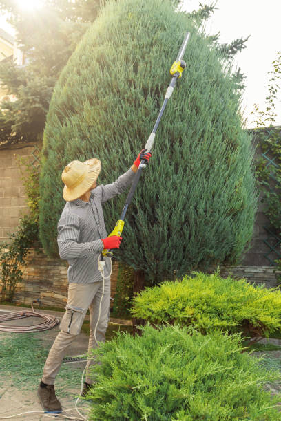 Lawn Pest Prevention in Bloomsburg, PA